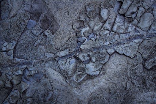 特写视图显示抽象石头表面的自然裂缝和纹理