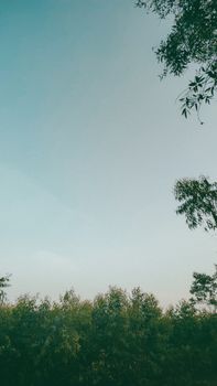 Image by Sumanth Varma