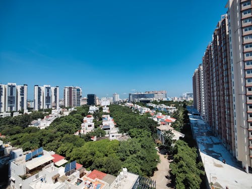 Clear Sky over Trees around Houses in City