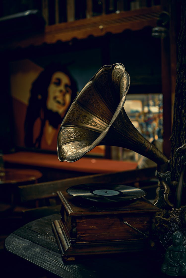 Antique Gramophone On Chair