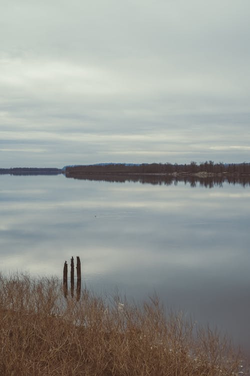 Foto profissional grátis de árvores, escuro, lago