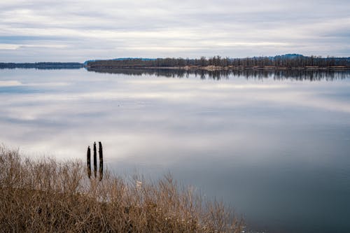 Základová fotografie zdarma na téma břeh jezera, jezero, mraky