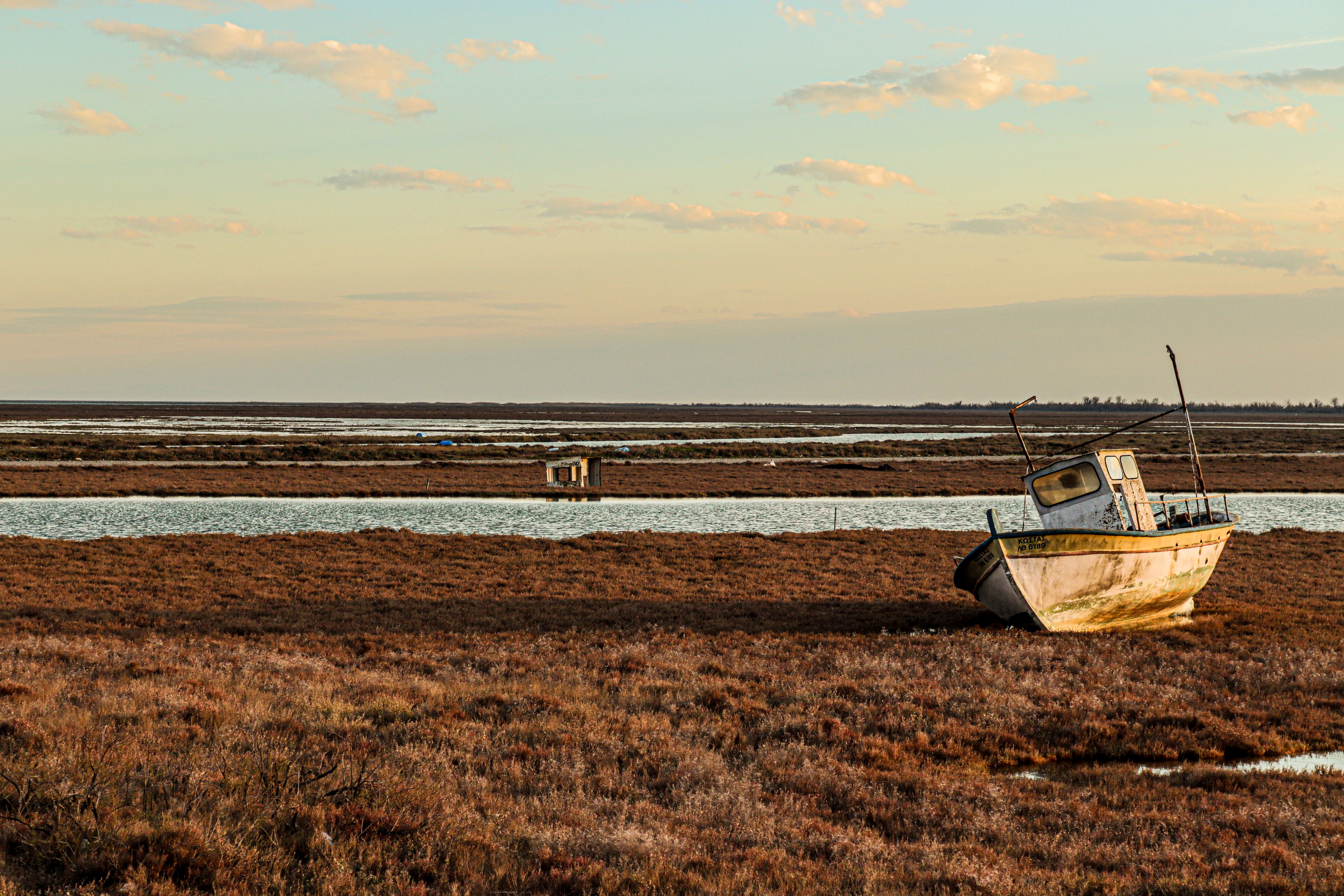 salt marsh landscape