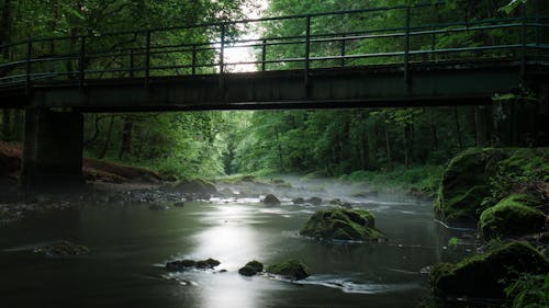 River With Rocks Under Bridge Surrounded by Green Leaf Trees during Daytime
