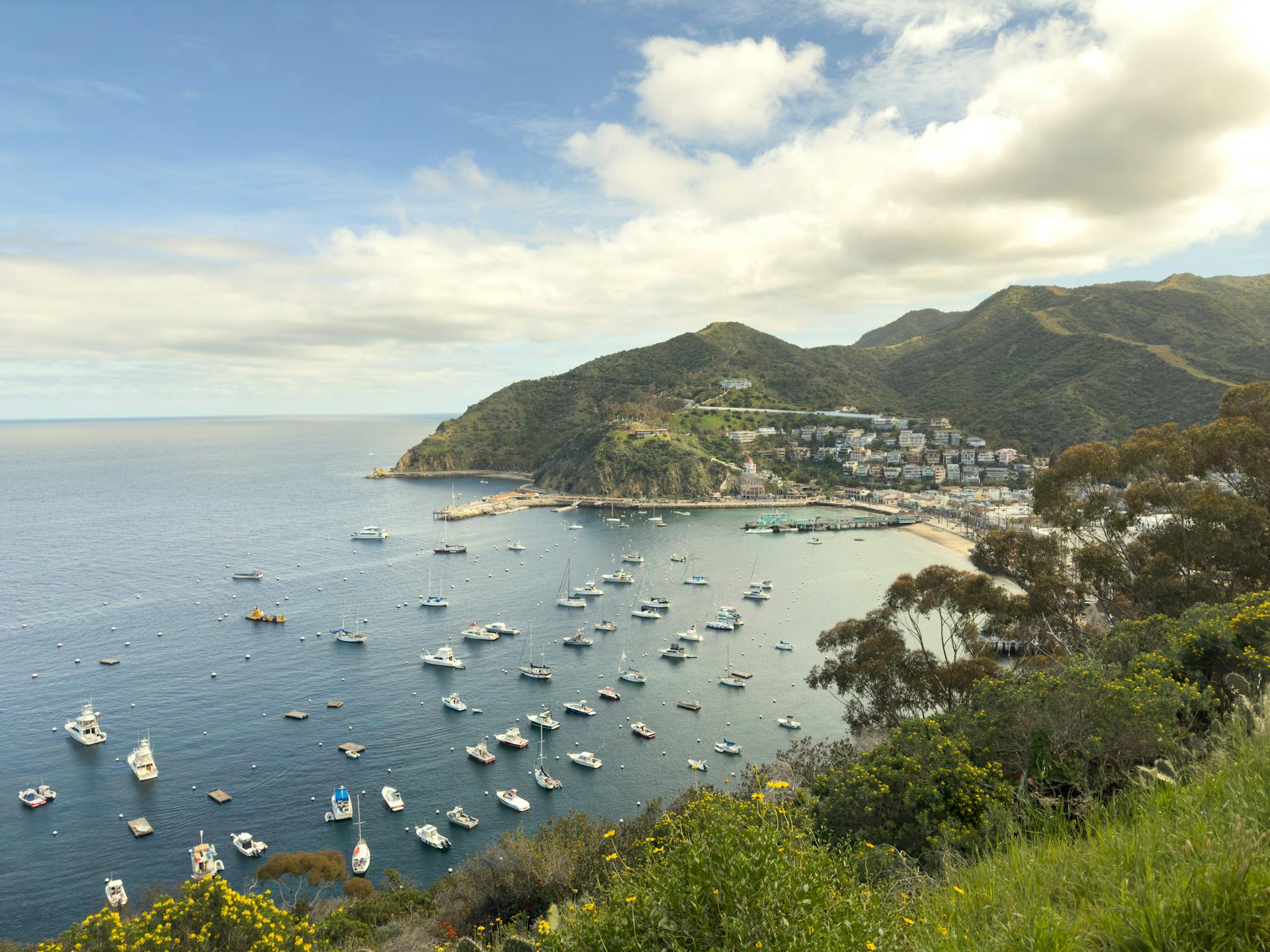 Stunning aerial view of Catalina Island's harbor with boats and scenic mountains.