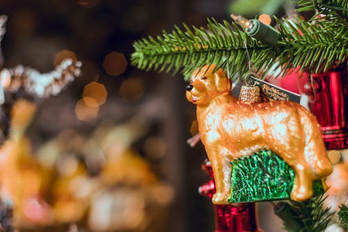 無料 ゴールデンレトリバーのクリスマス飾り 写真素材