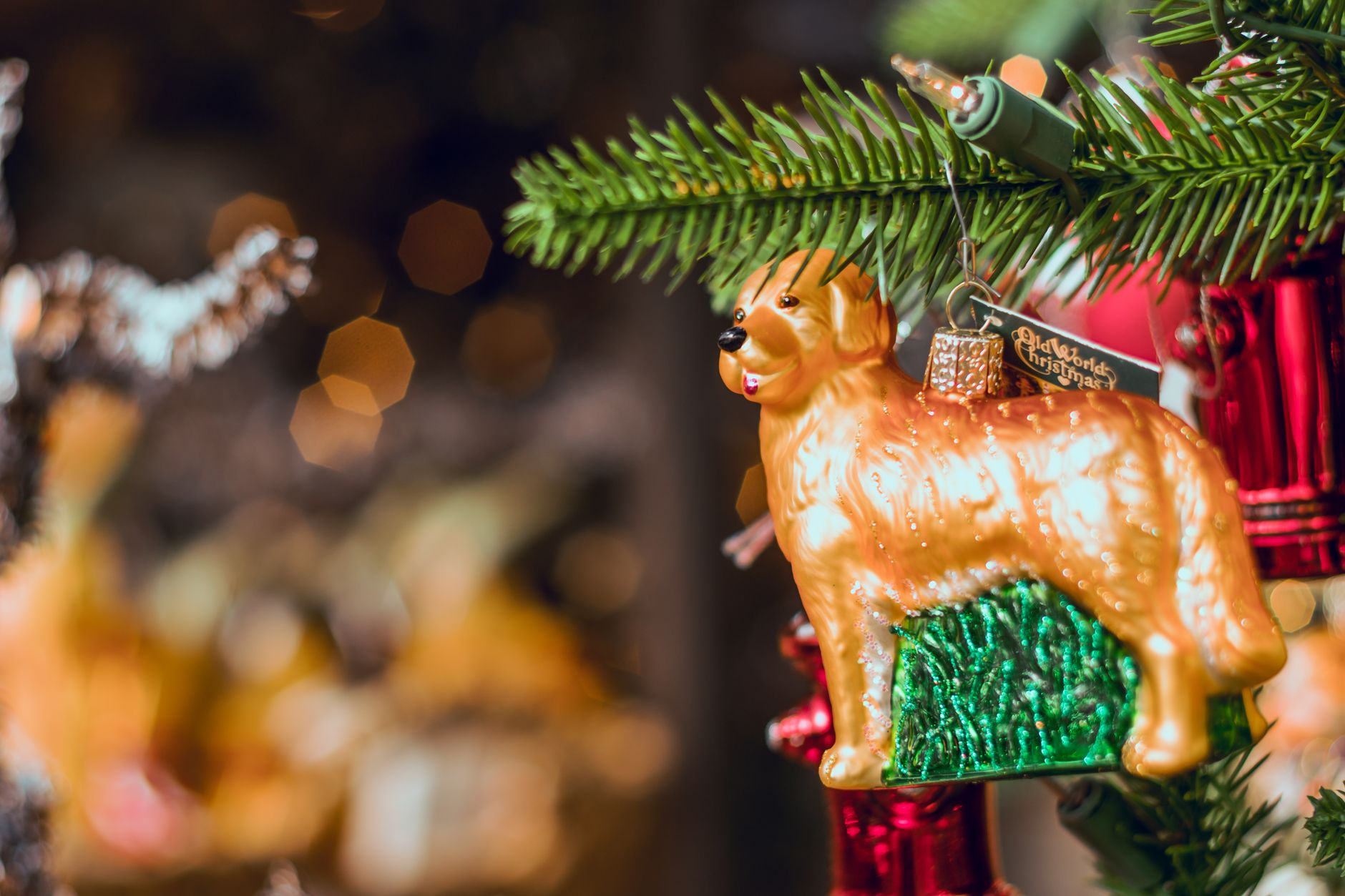 Close-up of a golden retriever ornament hanging on a Christmas tree with festive lights.