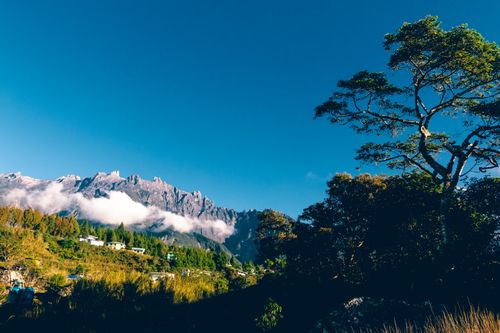 Free Breathtaking mountain view with lush greenery and a vivid blue sky, perfect for nature lovers. Stock Photo