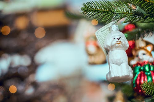 Witte Hondenbal Opgehangen Aan De Kerstboom
