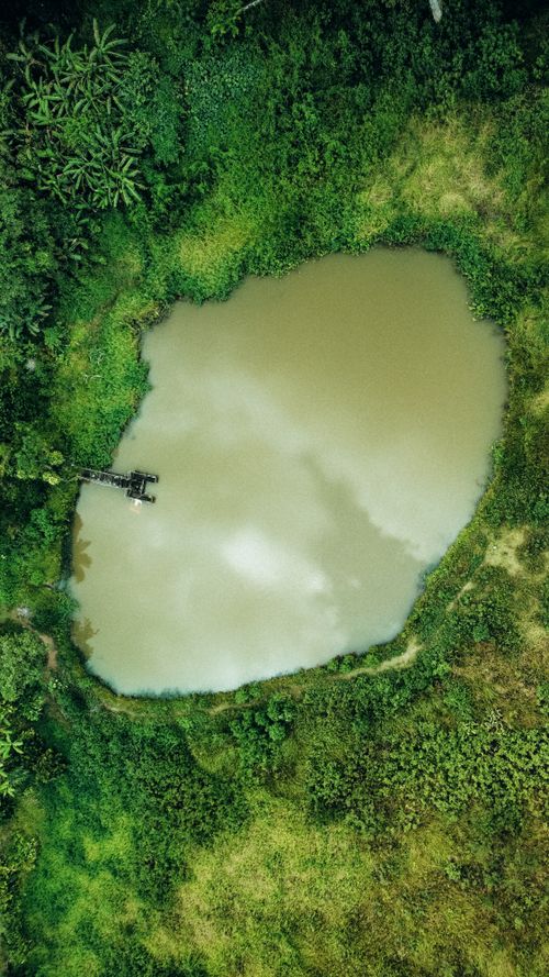 Free Aerial shot capturing a serene pond surrounded by dense jungle foliage, offering a top view perspective. Stock Photo