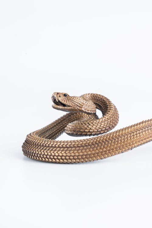 Decorative Snake on White Background