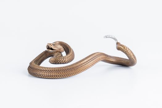 Close up of Bronze Snake