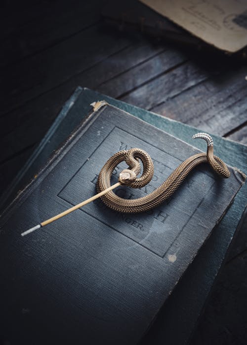 An Incense Holder in the Shape of a Snake 