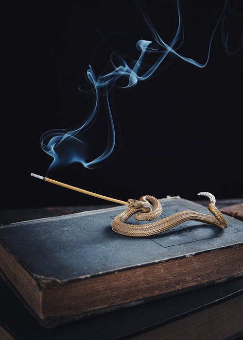 An Incense Holder in the Shape of a Snake 