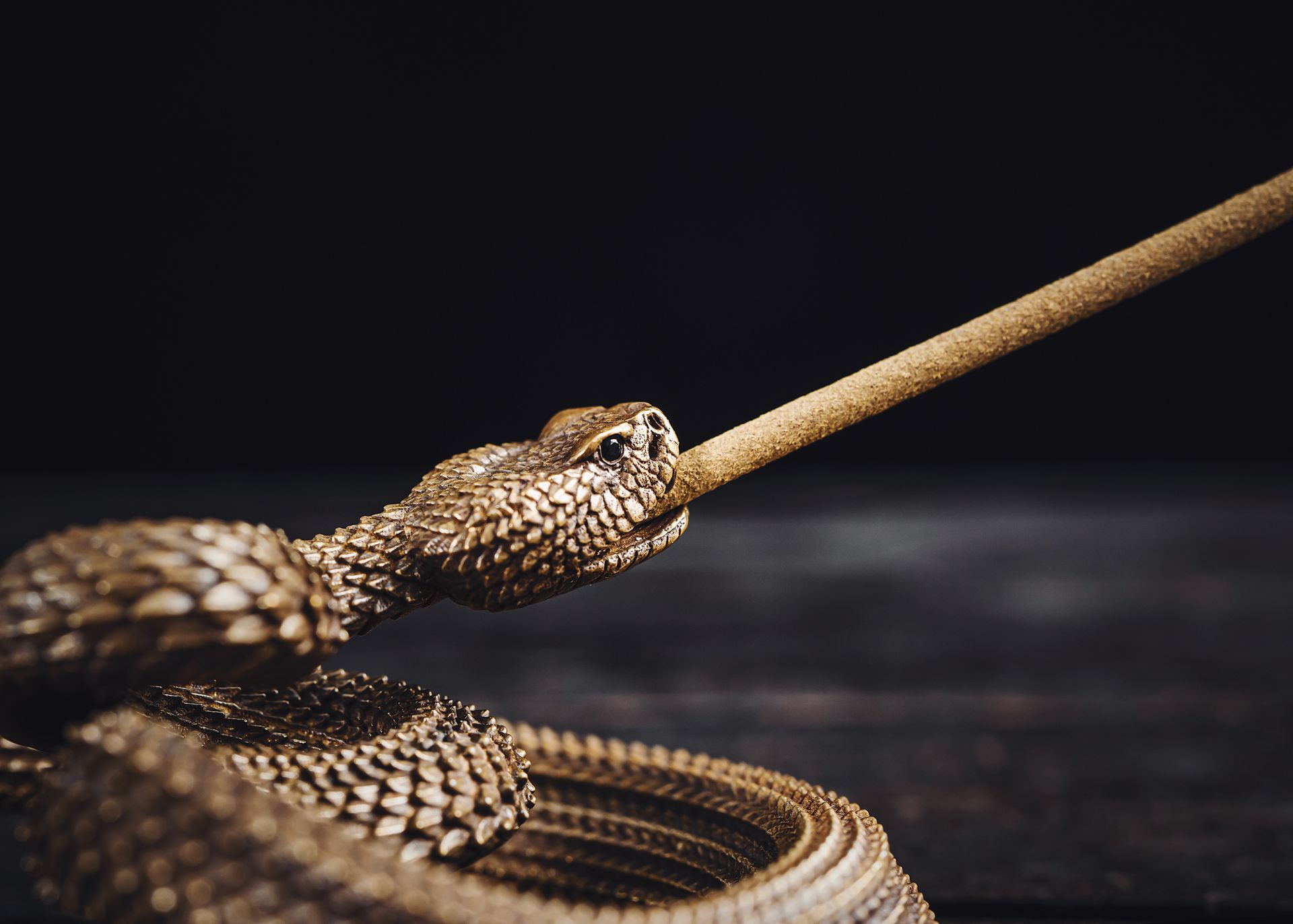 Close-up of a decorative bronze snake sculpture holding a stick on a dark background.