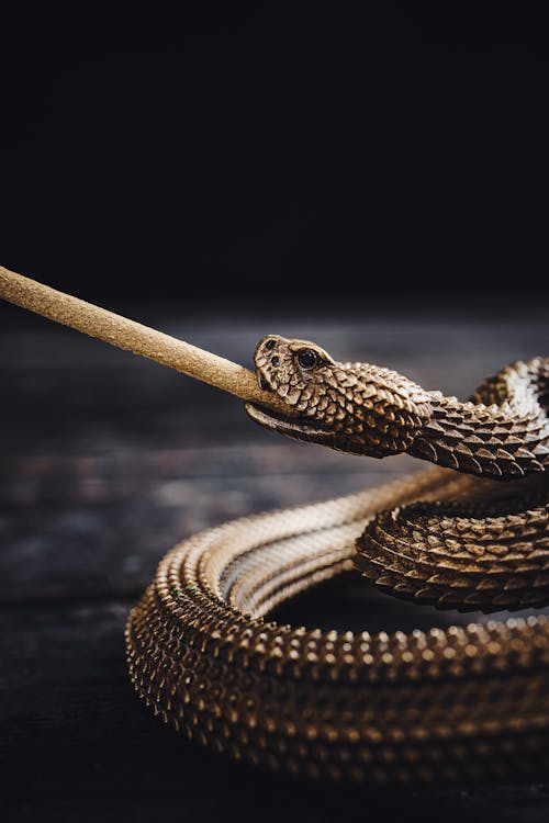 An Incense Holder in the Shape of a Snake 