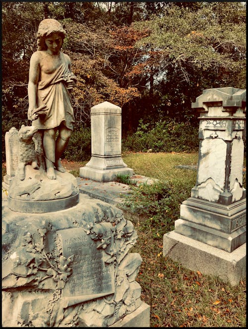 묘비, 묘지, 묘지 기념물의 무료 스톡 사진