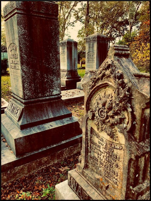 Free stock photo of cemetery, death, gravestones