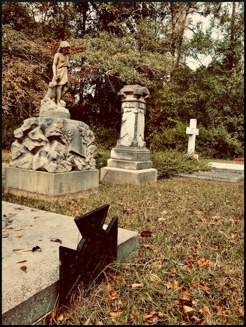 墓園, 墳墓, 死亡 的 免费素材图片