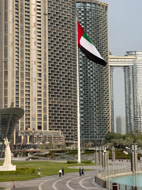 Flag and Skyscrapers