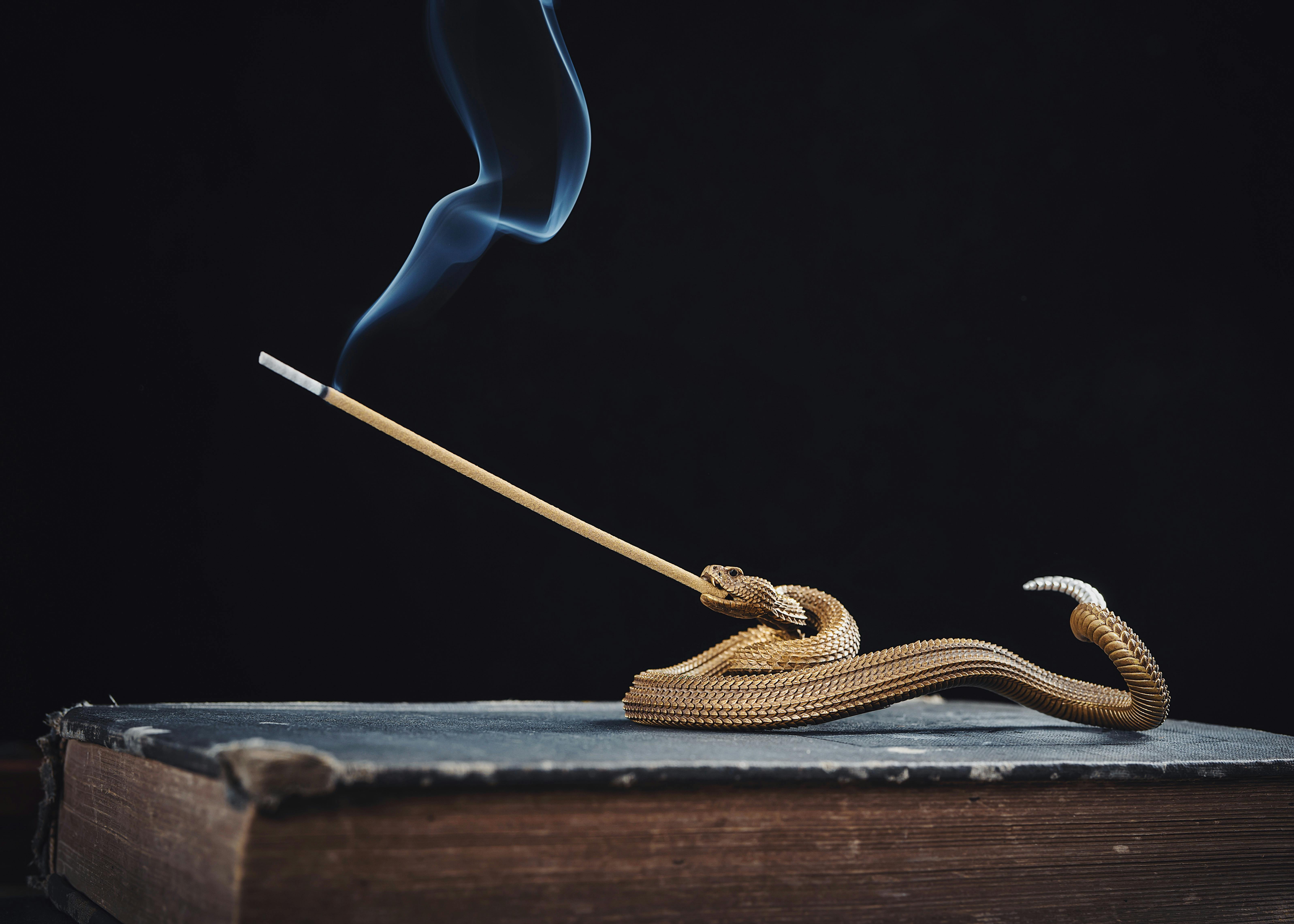 Ancient Forgotten Rituals Revived by Scent