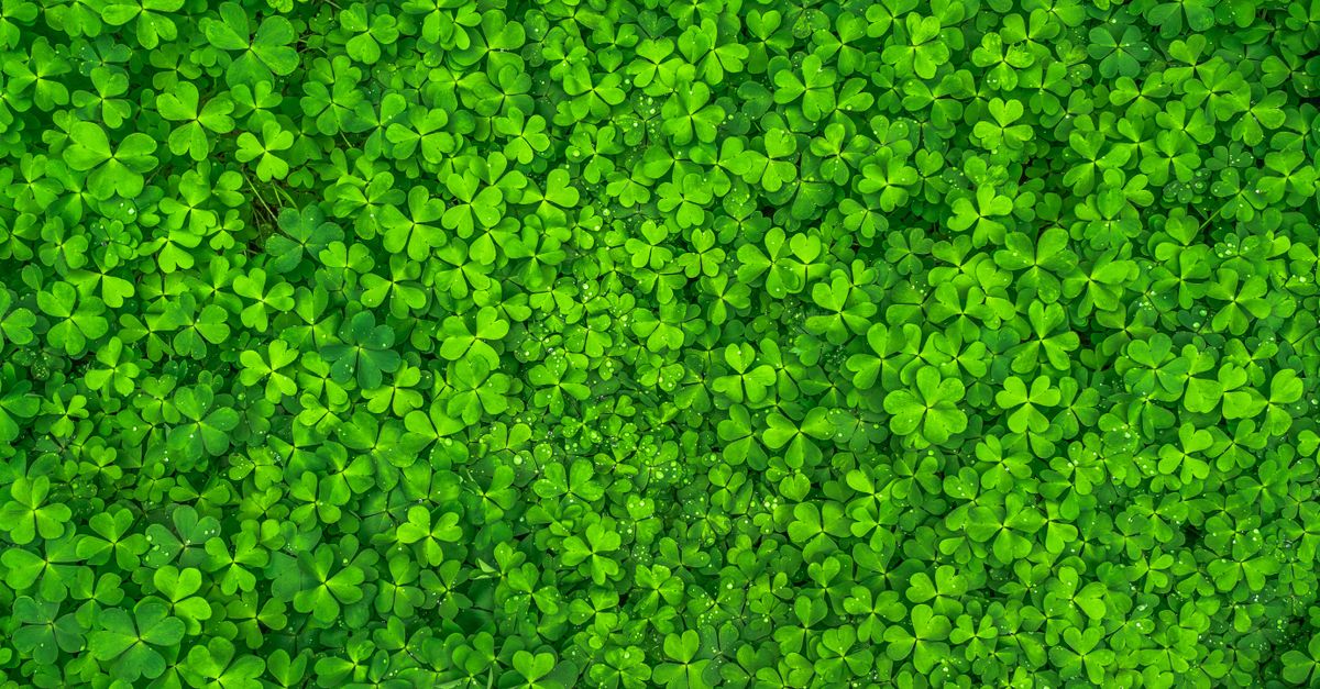St. Patrick’s Day: History, Traditions, and Festive Celebrations Around the World - Image from the article