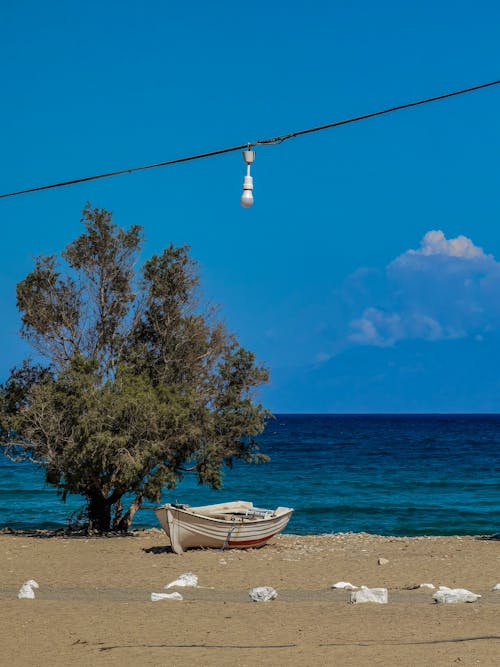 Light Bulb over Beach with Boat