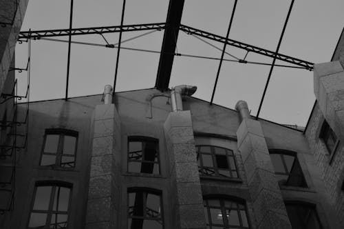 Building Wall and Glass Ceiling in Black and White