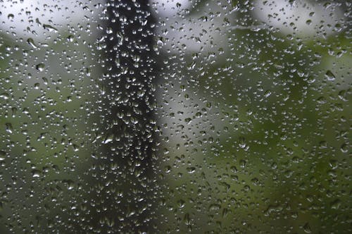 Close-up of a Wet Window 