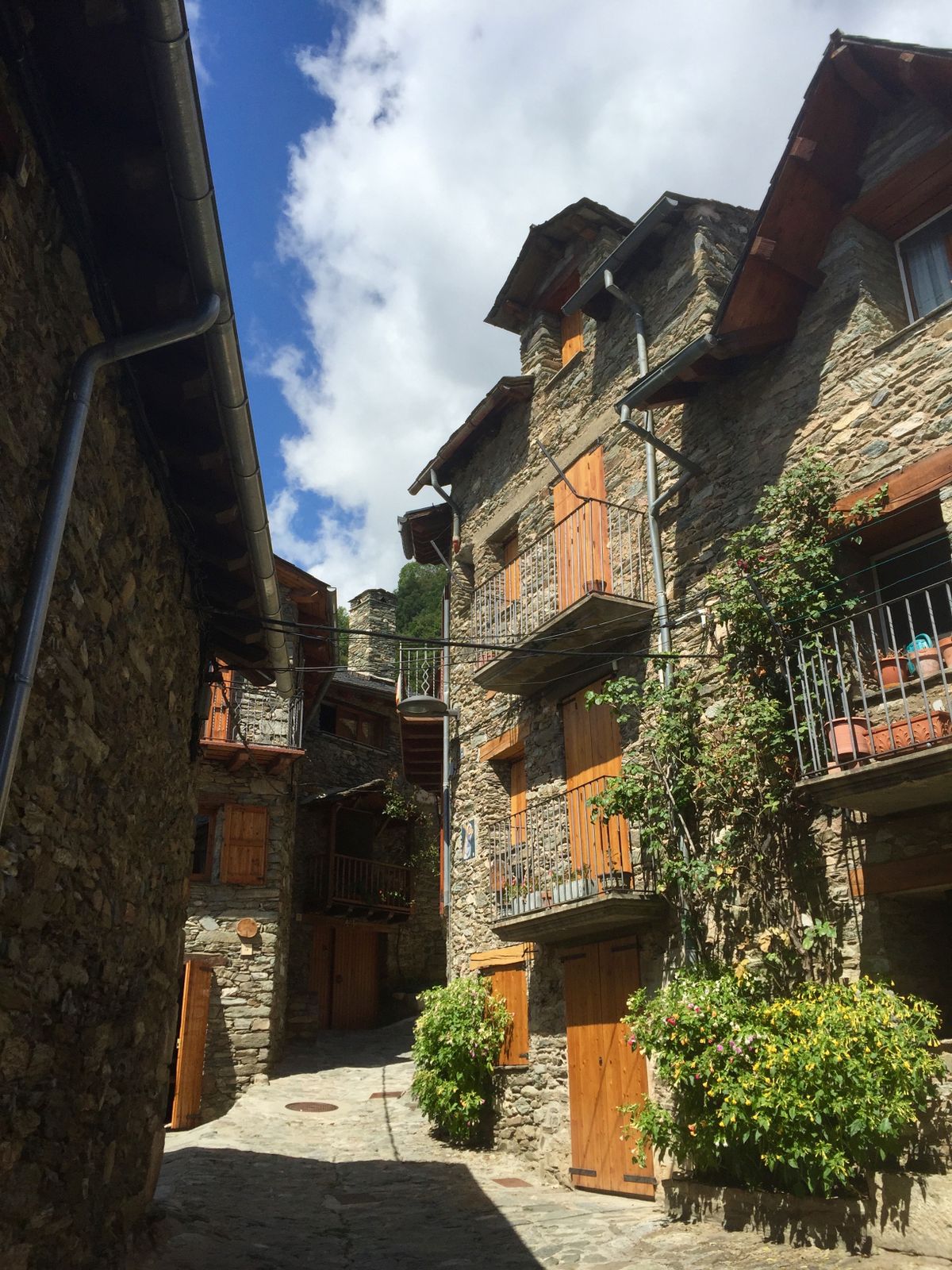 Projet de logements résilients à Jijel, matériaux ignifuges, toits en céramique, espaces verts de sécurité