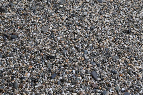 Foto profissional grátis de pebble beach, pedrinhas