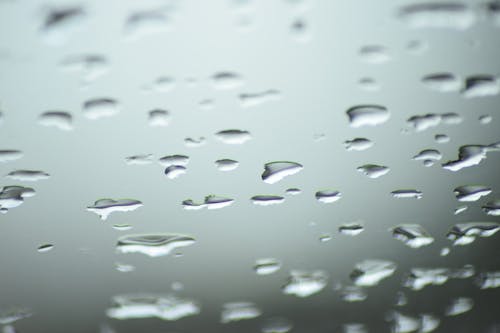 Free stock photo of after the rain, rain, raindrops Stock Photo