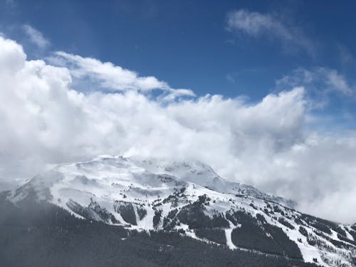雪をかぶった山の自然写真