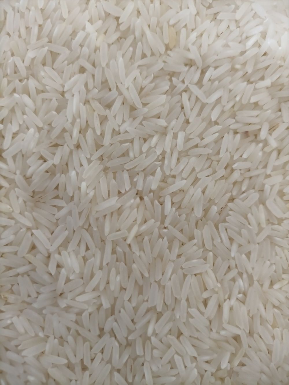 Sona Masoori Rice Grains