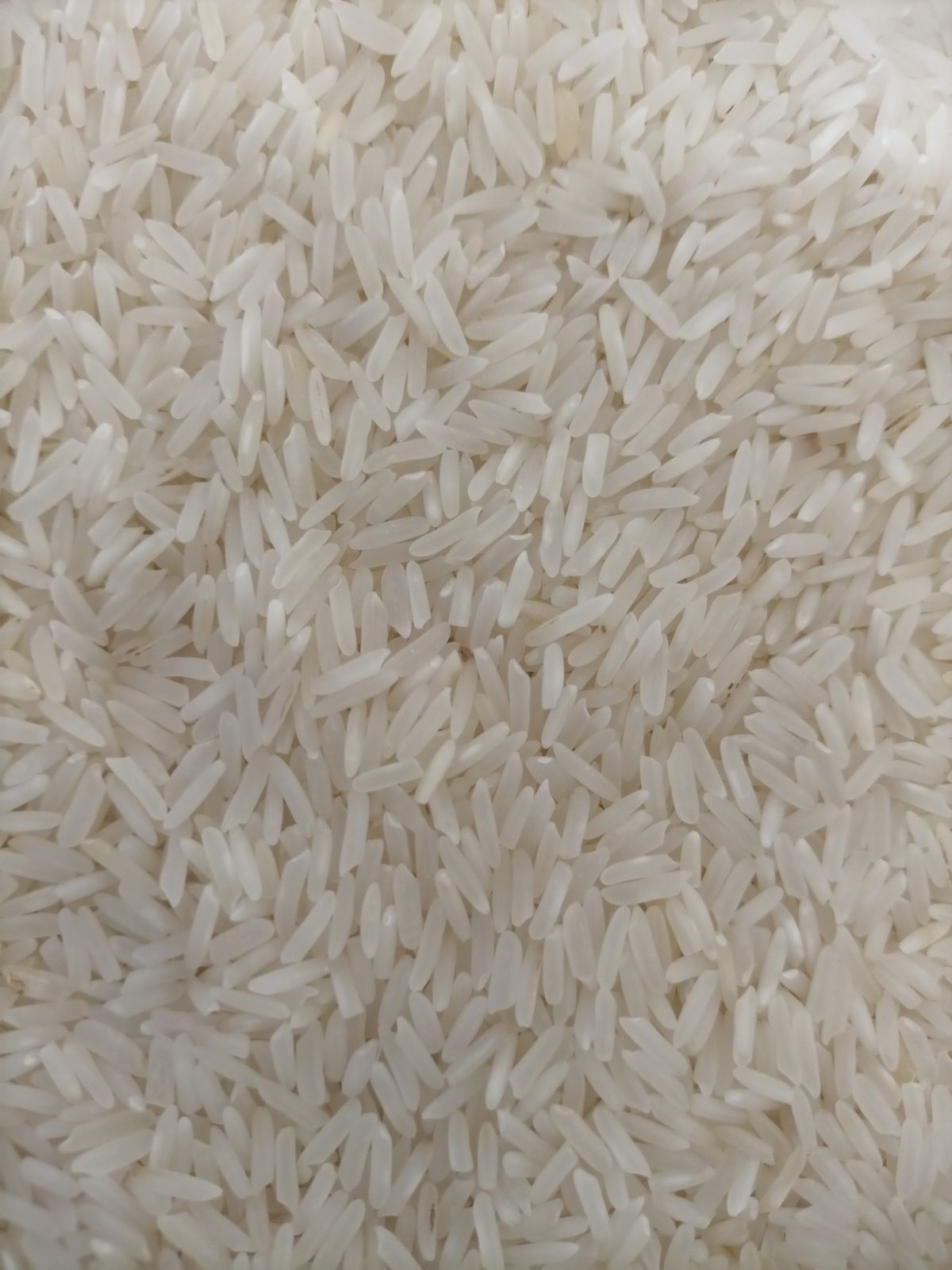 Rice Varieties product view