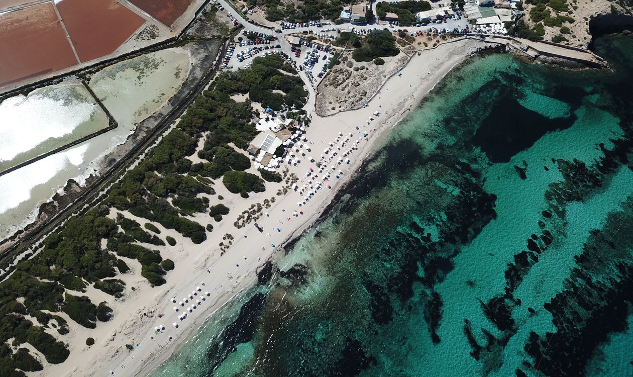 Ibiza's Salt Flats in Autumn: Flamingos, Phoenician History and Quiet Beaches at Ses Salines