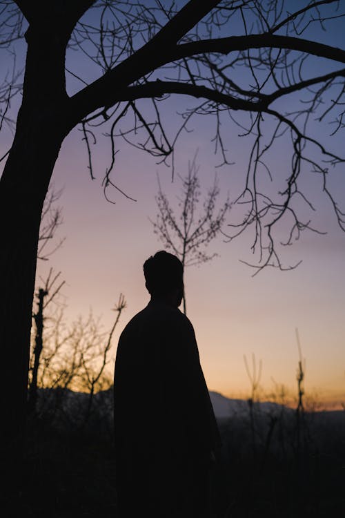 Silhouette of a Man Standing near a Tree at Sunset 