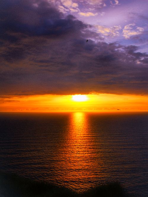 Free A stunning sunset over the ocean showcasing vivid colors and serene water reflections. Stock Photo