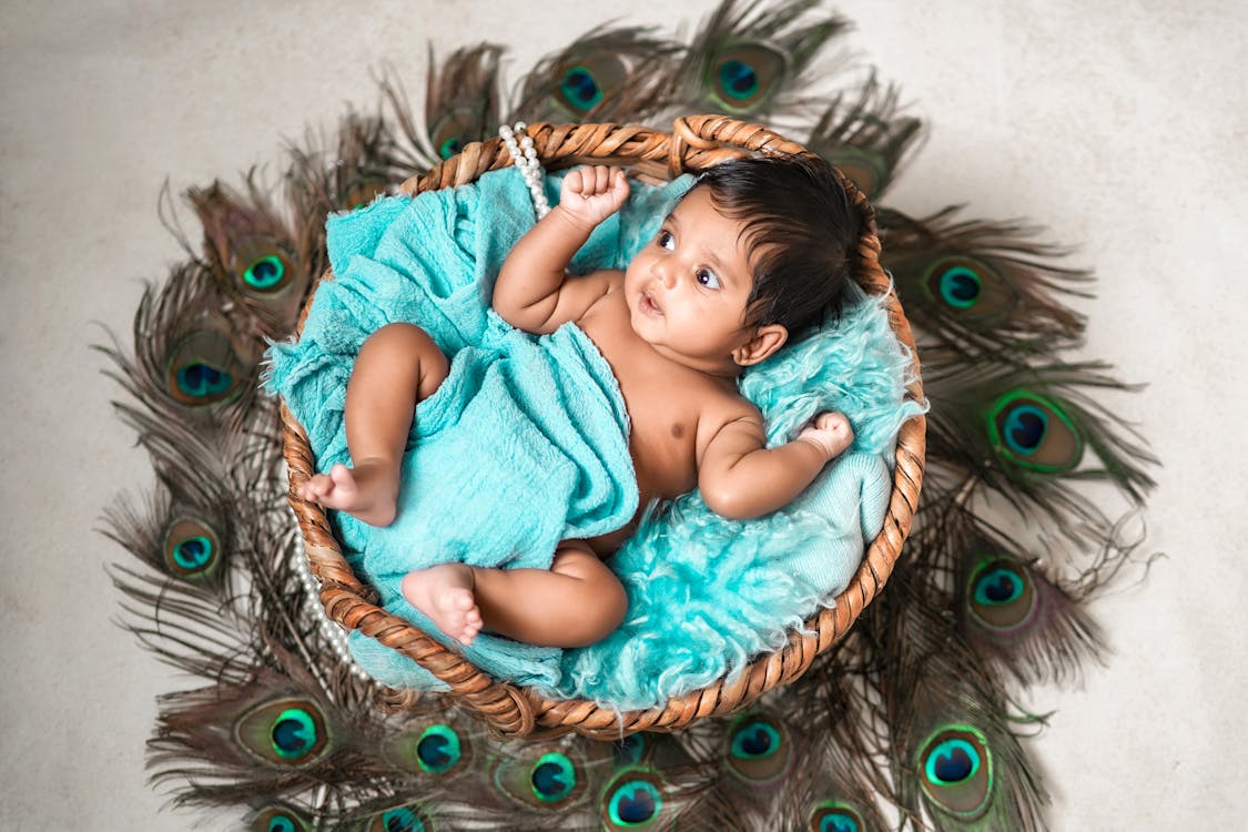 Cute Baby Lying in a Basket Surrounded with Peacock Feathers · Free ...