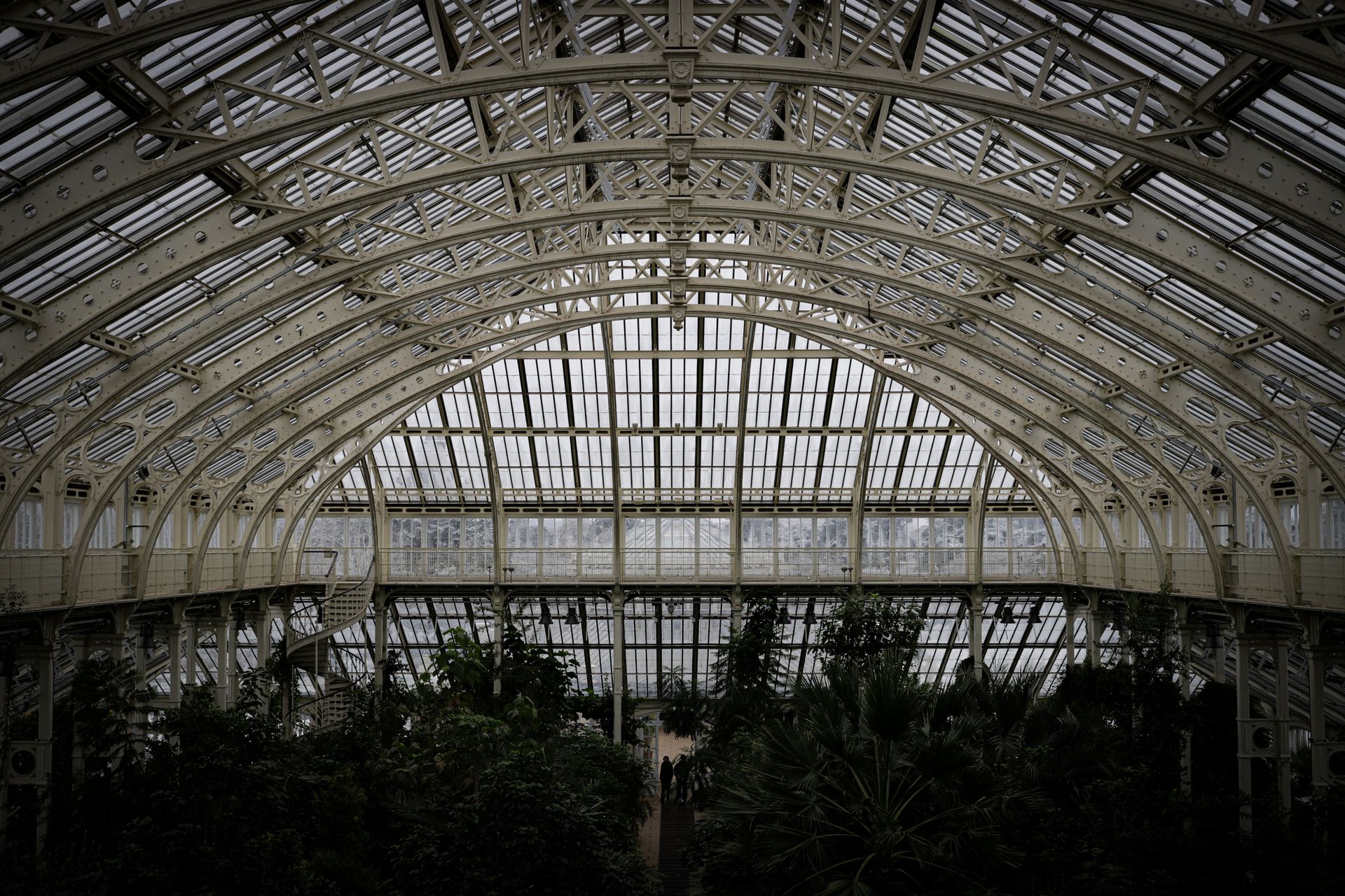 A large glass roofed building with plants inside