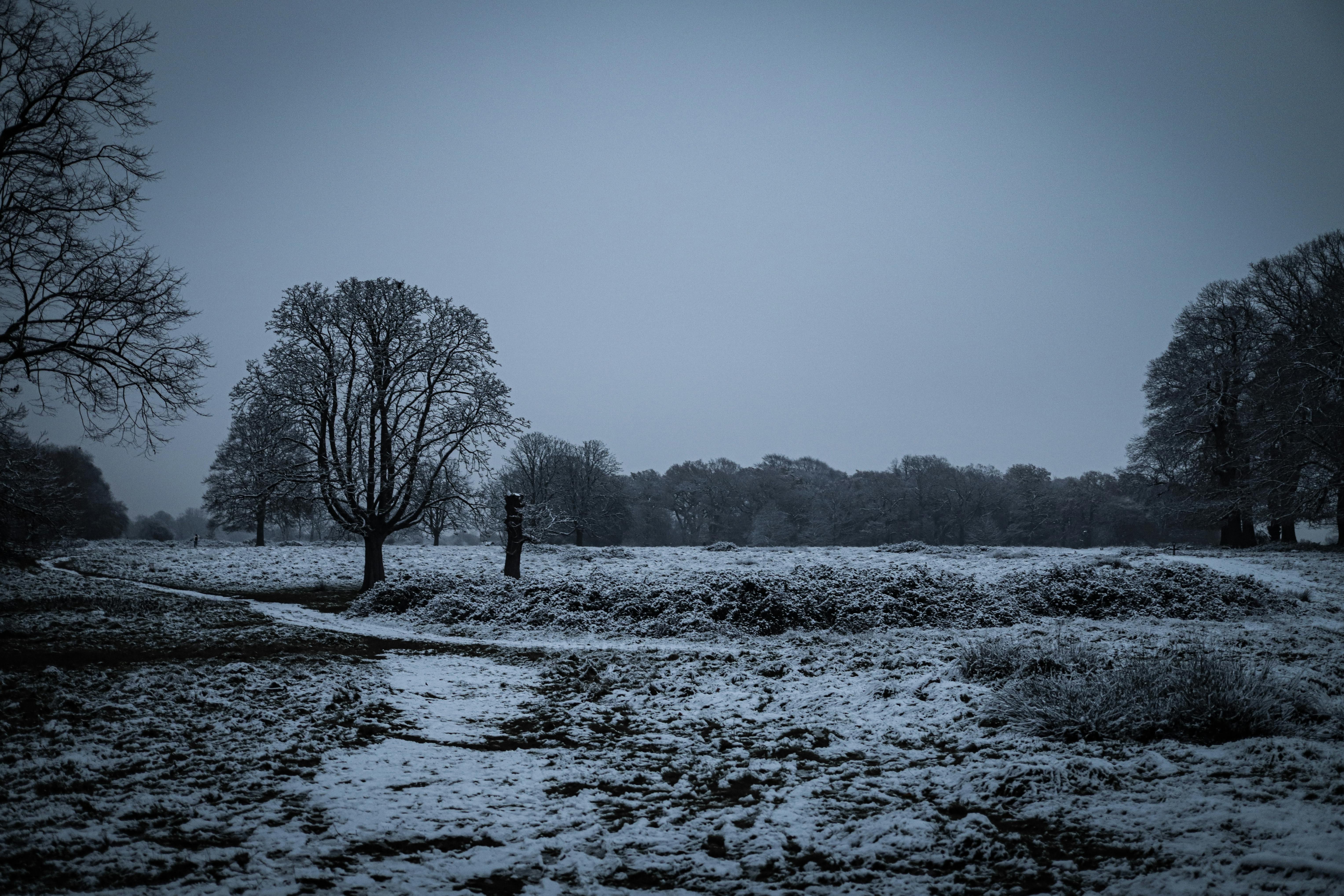 greenhouse vents open seedlings UK