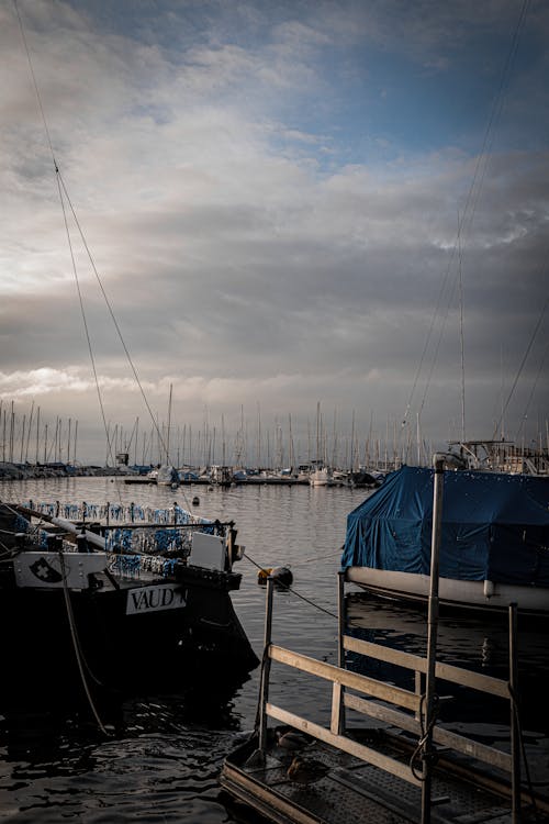 Yachts in Port in Harbor