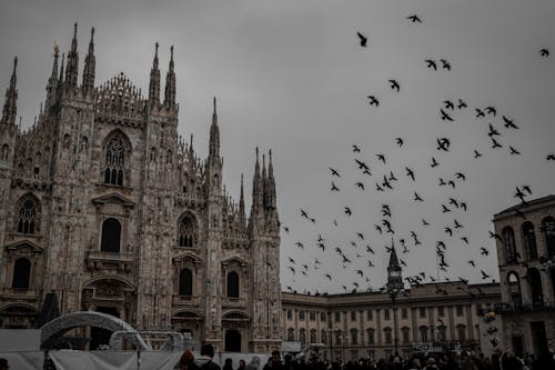 イタリア, ゴシック, シティの無料の写真素材