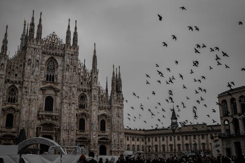 Kostnadsfri bild av byggnad, duomo di milano, fåglar