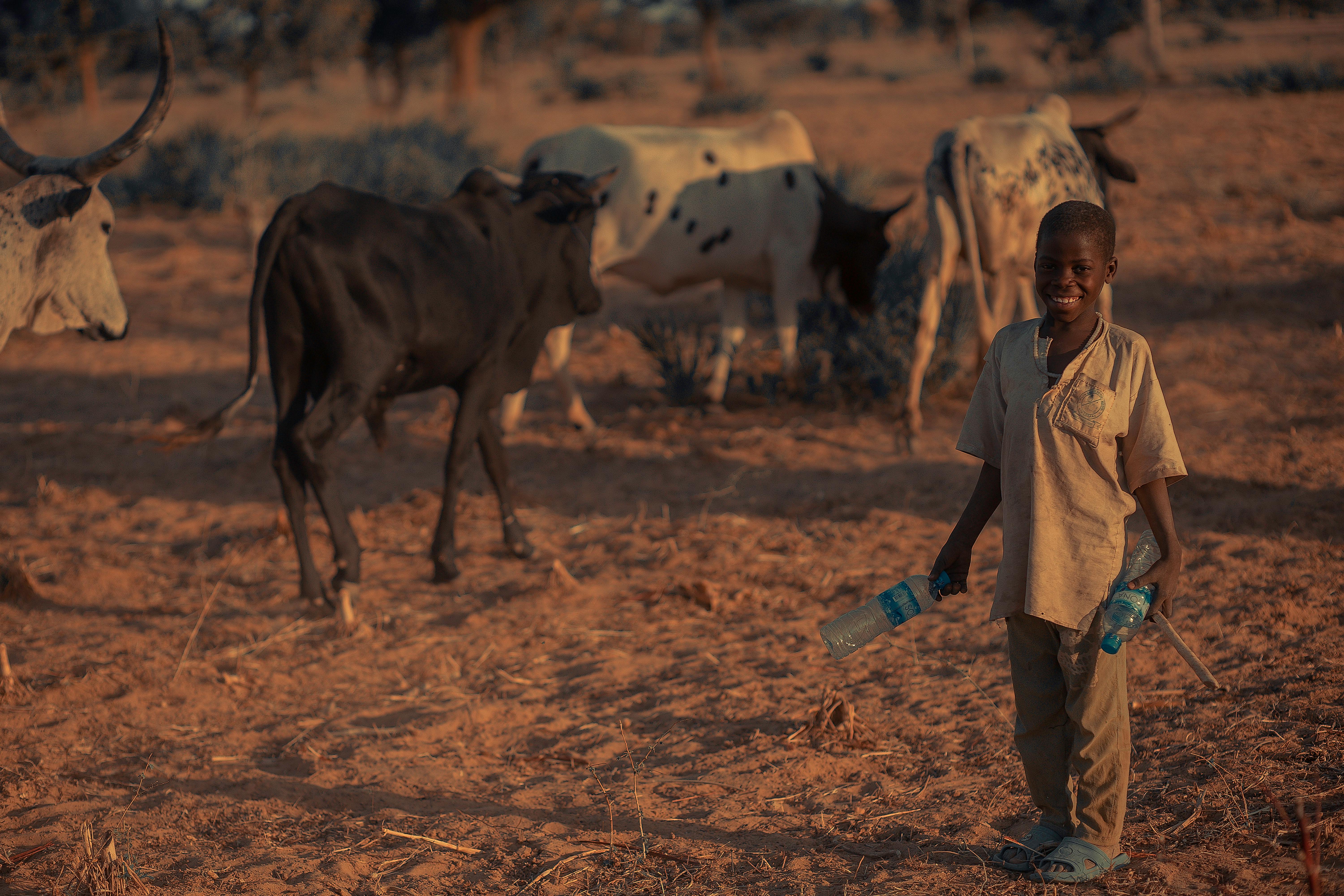 Investment in Inclusive Livestock Sector Development in