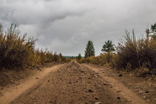 Kostnadsfri bild av 4k tapeter, apelsin, bakgrundsbelysning