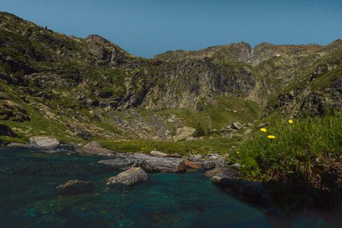 Free Tranquil mountain stream flowing amidst rocks and wildflowers on a sunny summer day. Stock Photo
