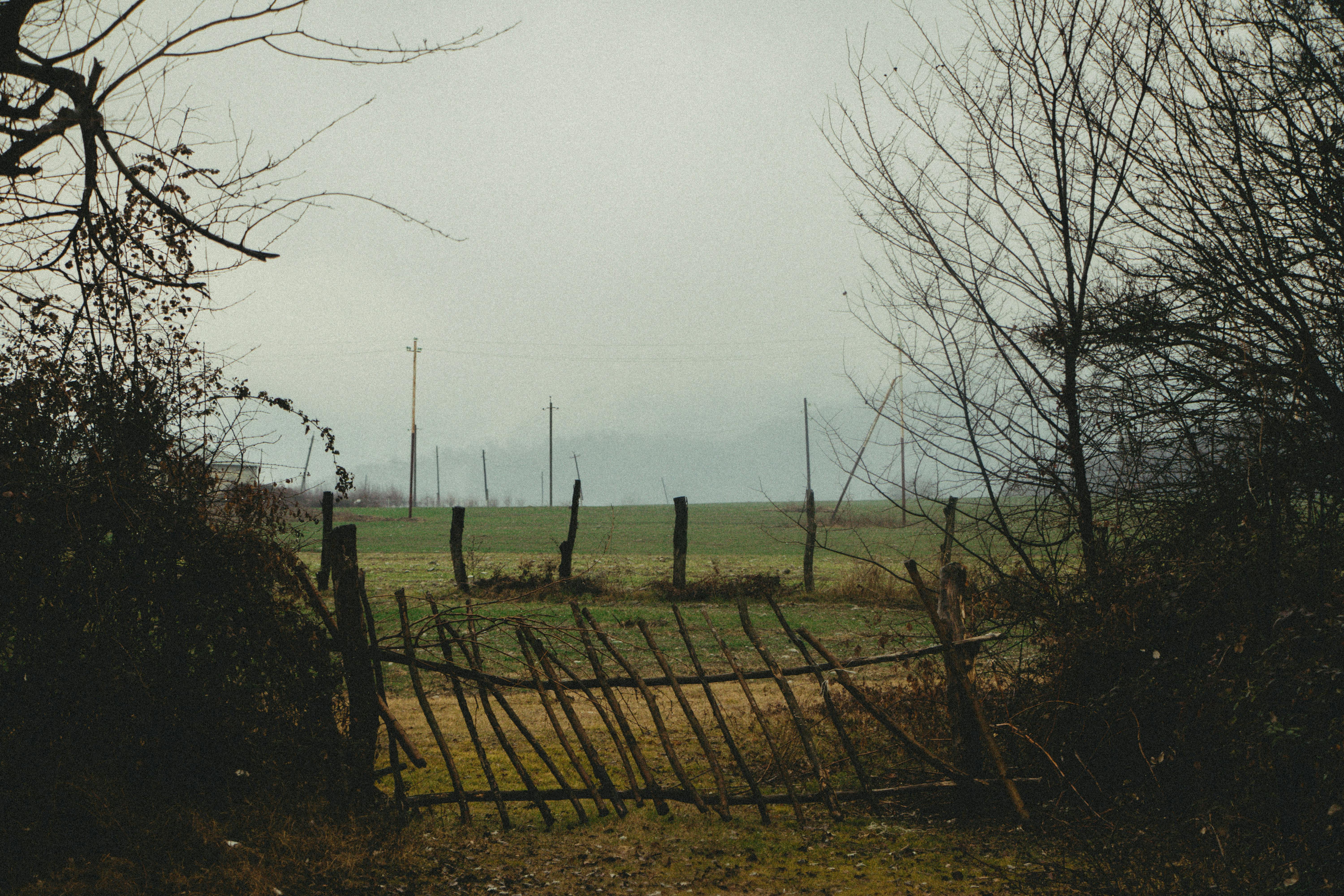 Photos gratuites de agriculture, arbres, aride