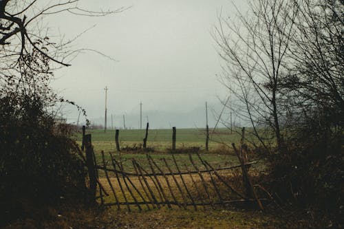 Fotobanka s bezplatnými fotkami na tému dedinský, drevený, krajina