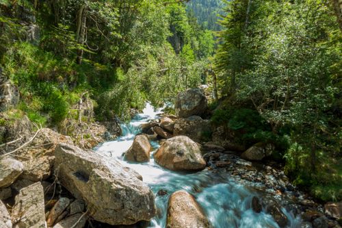 Free A serene mountain stream flowing through a lush forest landscape filled with rocks and trees. Stock Photo